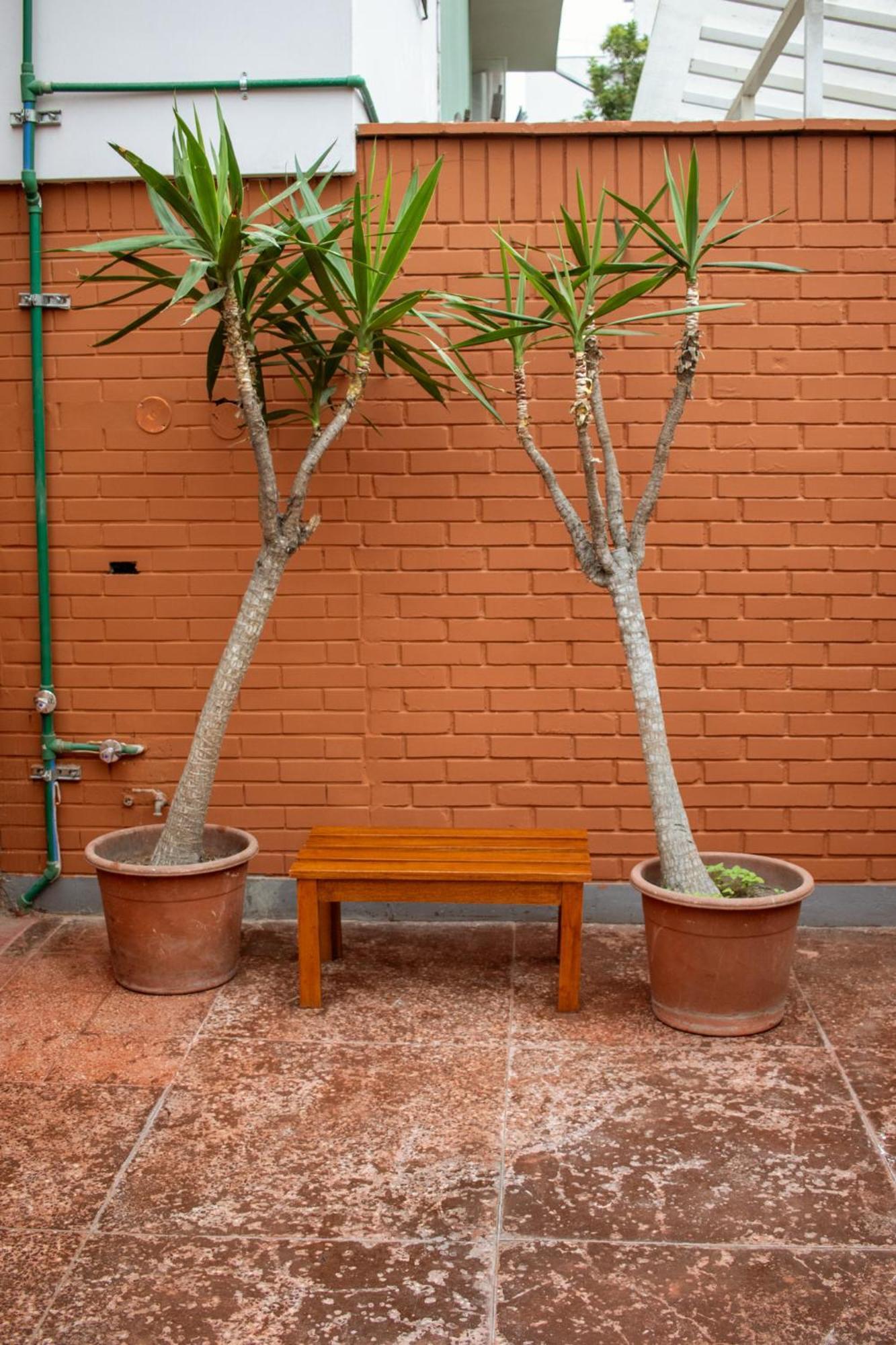 Temazcal Hostel Lima Zewnętrze zdjęcie