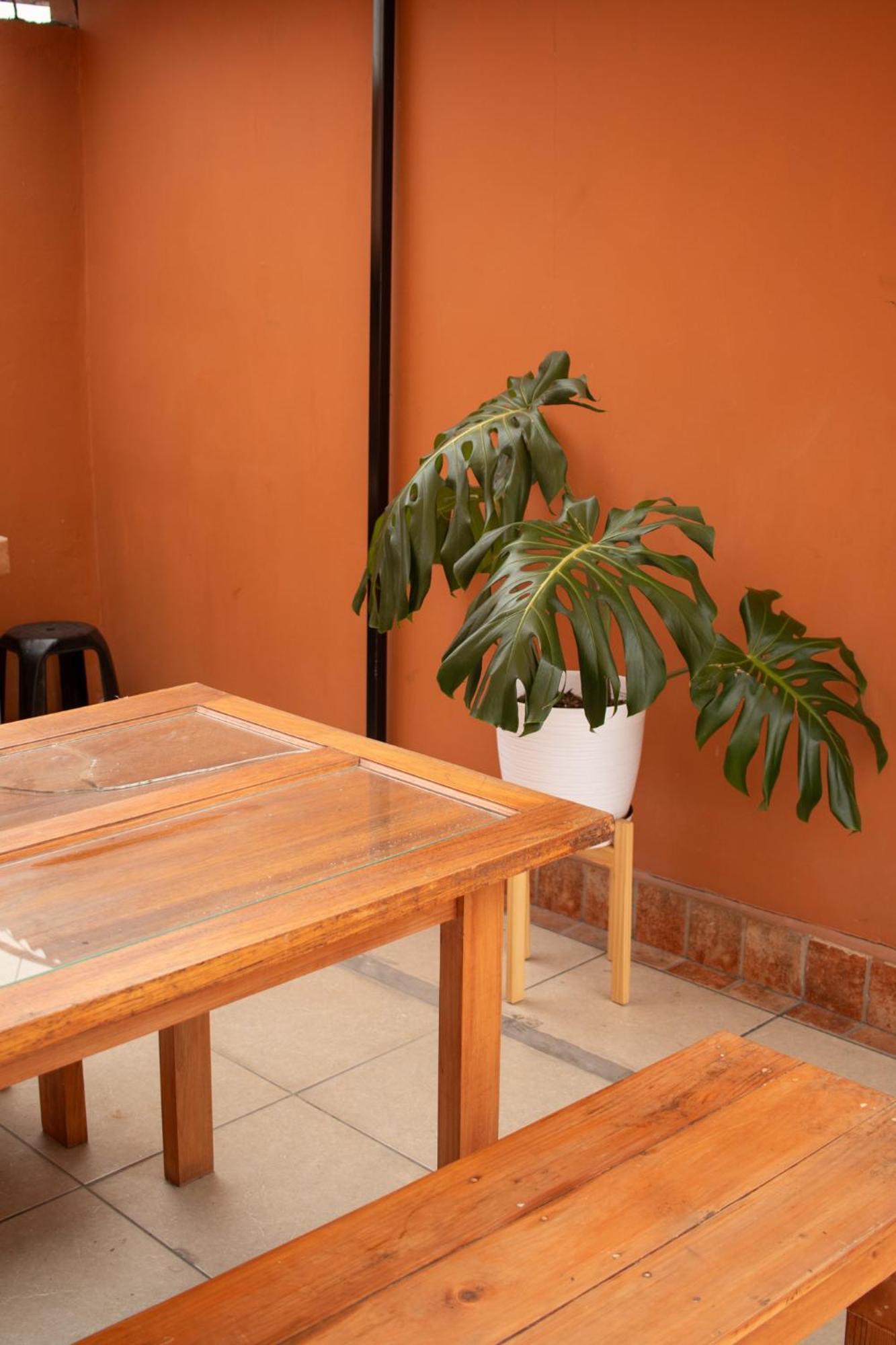 Temazcal Hostel Lima Zewnętrze zdjęcie